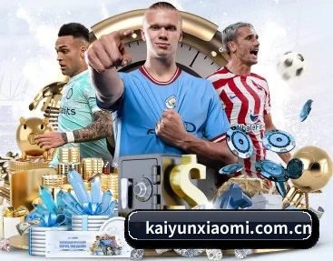 kaiyunxiaomi.com.cn APP 深度功能